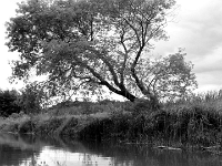 37145CrBwLe - Kayaking on Duffins Creek with Brian Brumwell  Peter Rhebergen - Each New Day a Miracle